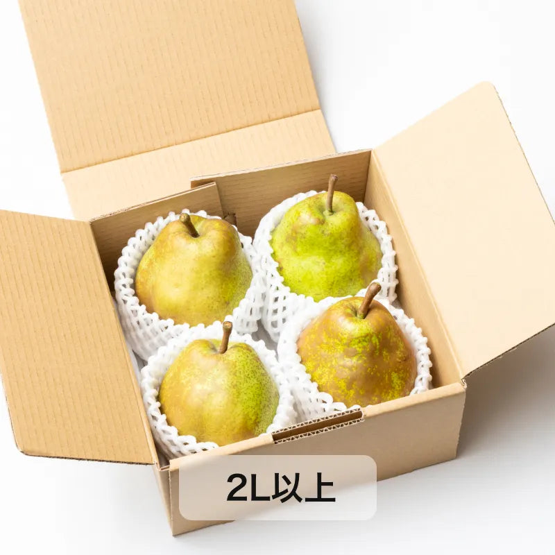 日本唯一の洋梨専業農家さんが作ったラ・フランス 家庭用 1kg