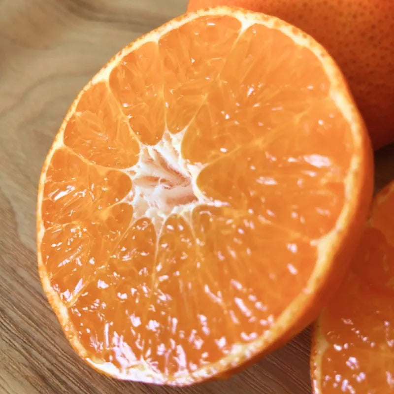 浜王🍊幻のみかん!新感覚のぷちぷち食感