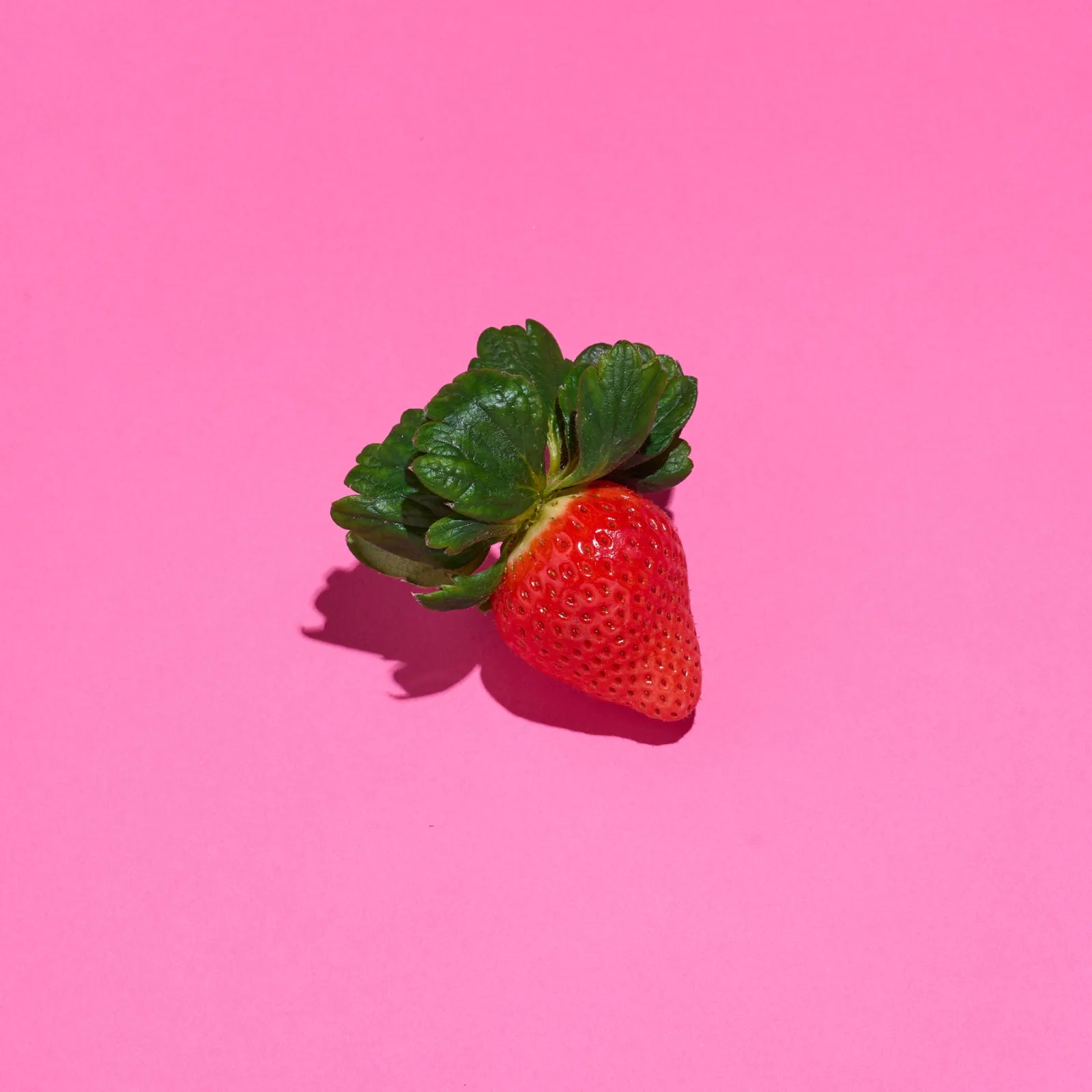 特大‼おおきみプレミアム🍓6粒入り1P|まったり濃厚な香りと溢れる果汁が特徴の超特大いちご