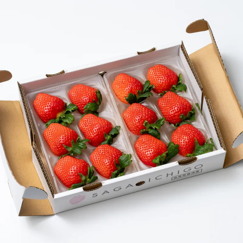大粒!おおきみ🍓6~11粒入り2P|まったり濃厚な香りと溢れる果汁が特徴の大粒いちご