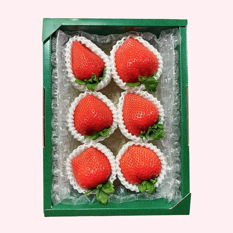 特大‼おおきみプレミアム🍓6粒入り1P|まったり濃厚な香りと溢れる果汁が特徴の超特大いちご