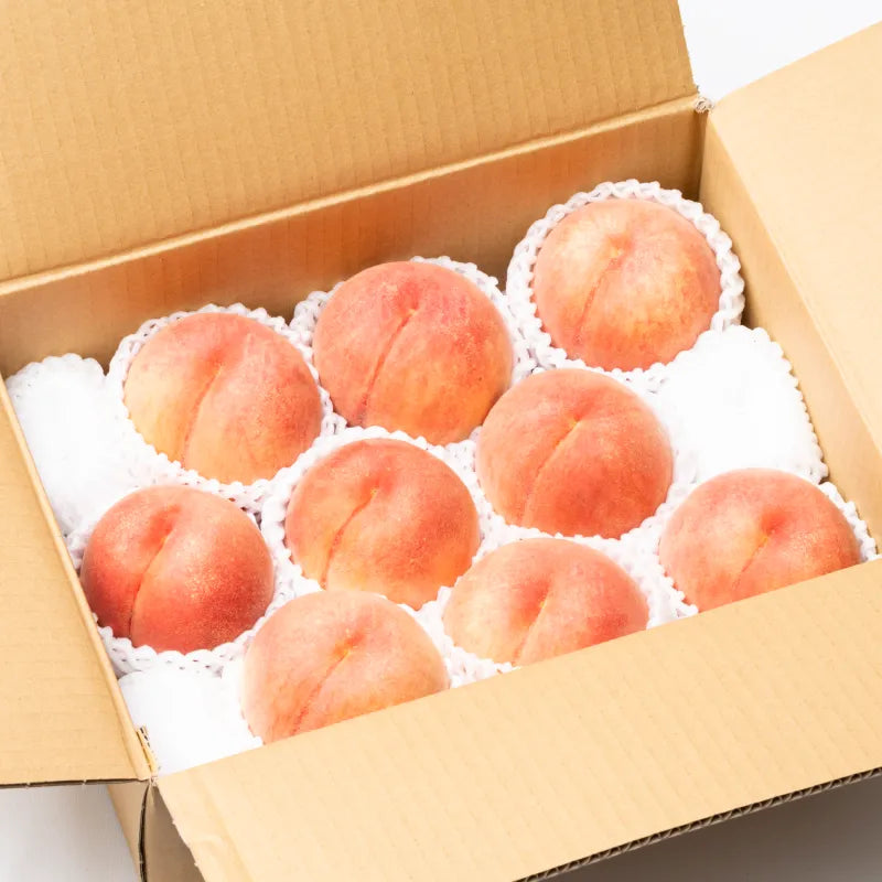 【送料無料】ジューシーなのに食べ応えがある"幸せが続く桃"|木の上で完熟を迎えた「川中島白桃」3kg(8~13個)/ 家庭用