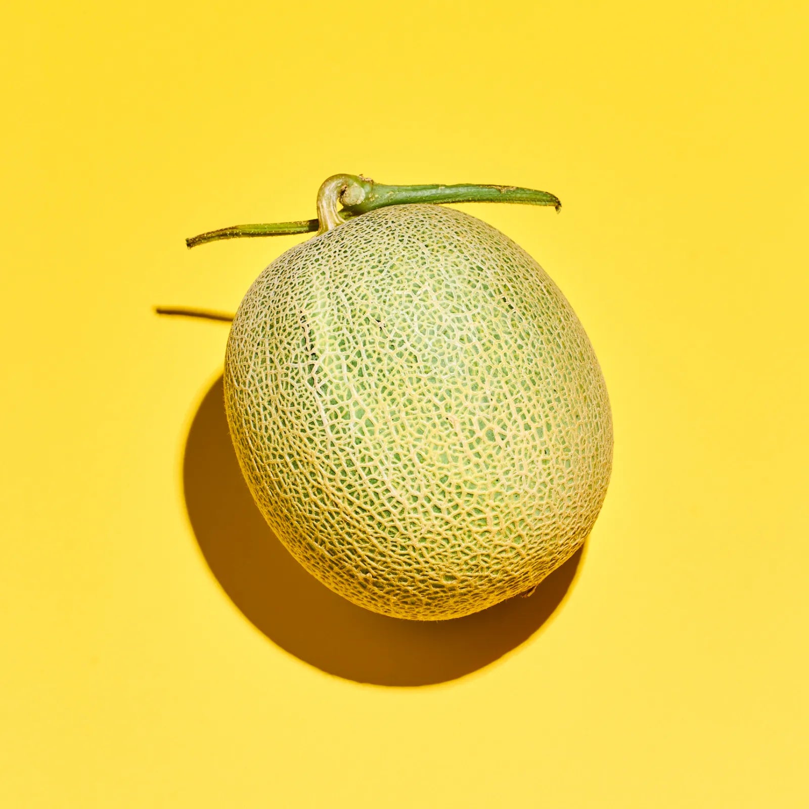 【秀品】肥後グリーン🍈2玉|糖度14度以上!シャキッとみずみずしいジューシーな大玉メロン