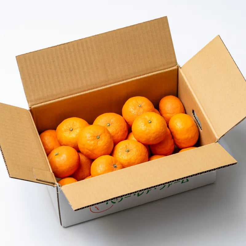 浜王🍊幻のみかん!新感覚のぷちぷち食感