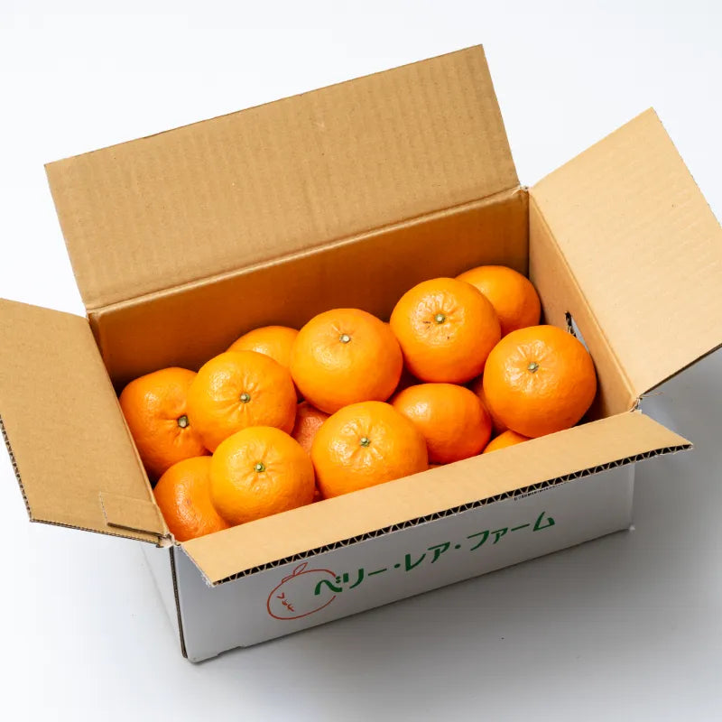 麗紅🍊味も見た目も上品なみかん