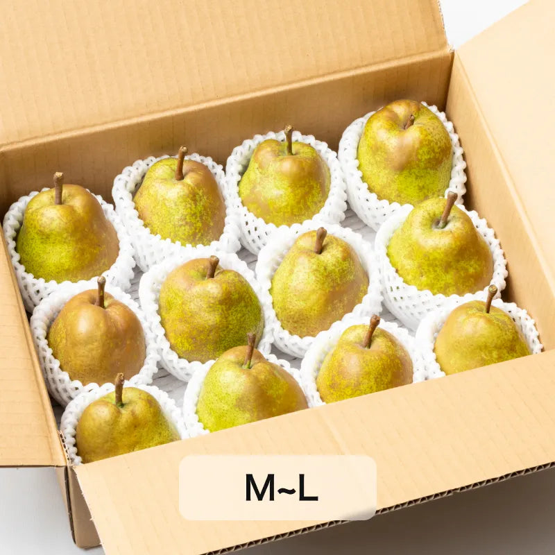 日本唯一の洋梨専業農家さんが作ったラ・フランス 家庭用 3kg