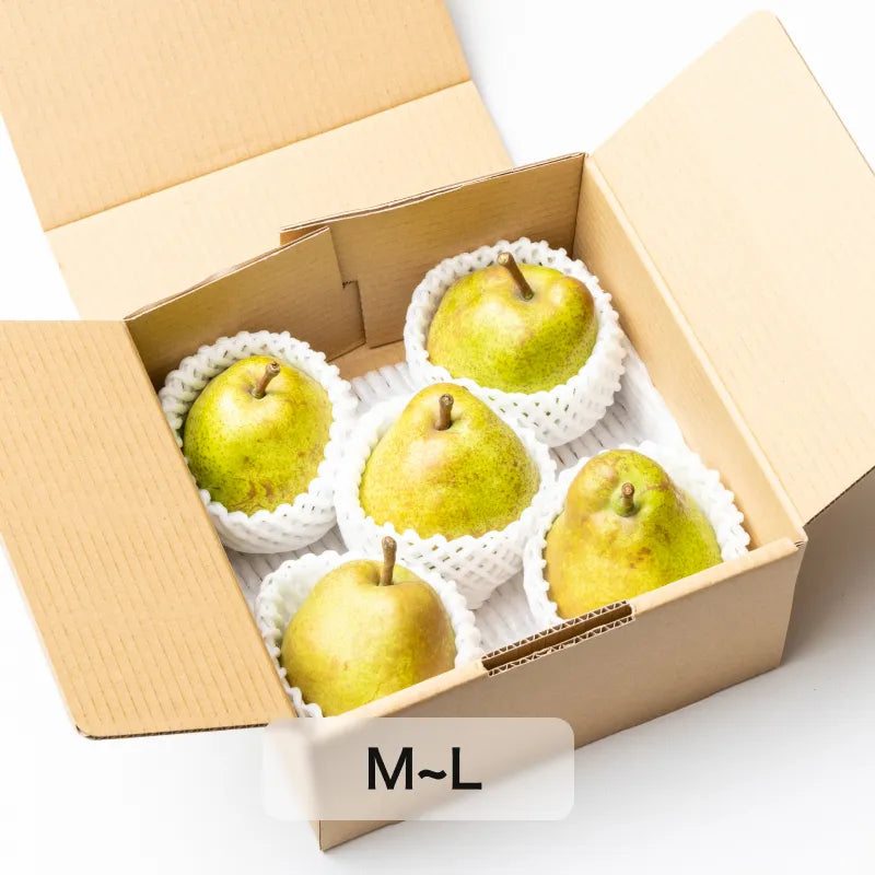 日本唯一の洋梨専業農家さんが作ったラ・フランス 家庭用 1kg