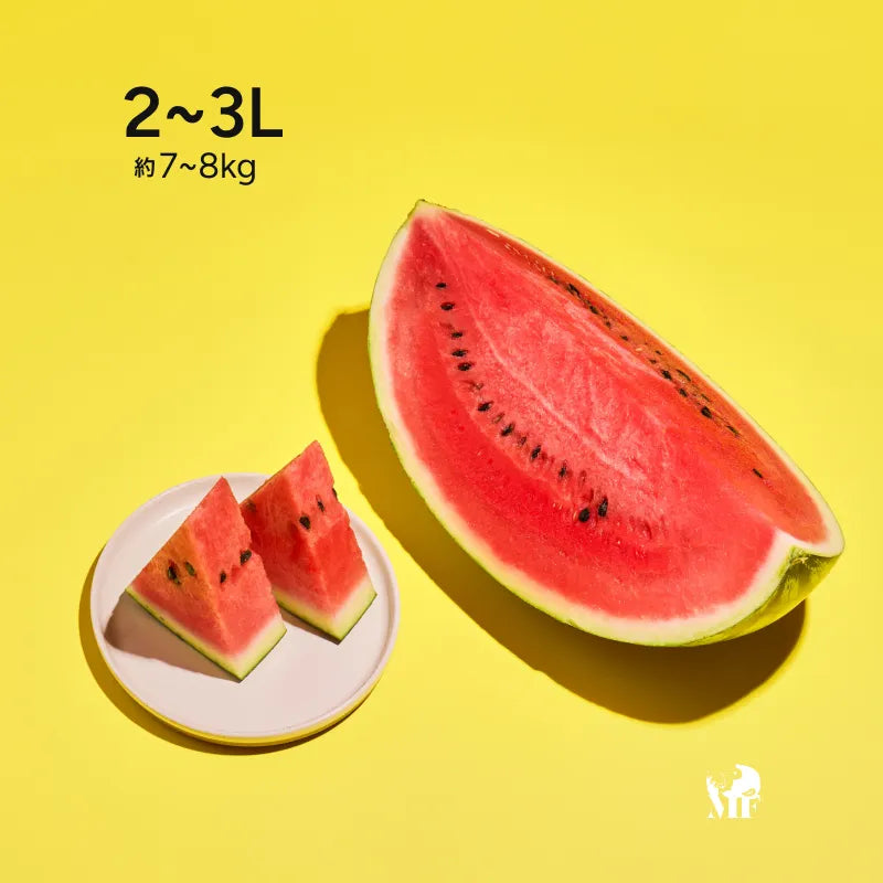 衝撃の糖度13～14度‼】極上の甘さとみずみずしさ｜干ばつに負けず毎日