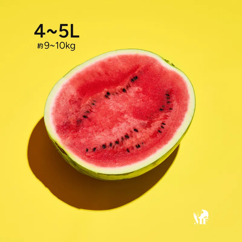 【衝撃の糖度13~14度‼】極上の甘さとみずみずしさ|干ばつに負けず毎日何トンも水やりして育てた大玉「尾花沢スイカ」 4~5L(約9~10kg)