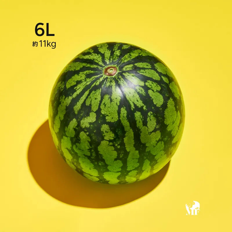 朝採れ当日出荷】尾花沢スイカ 祭ばやし 6L（11kg）