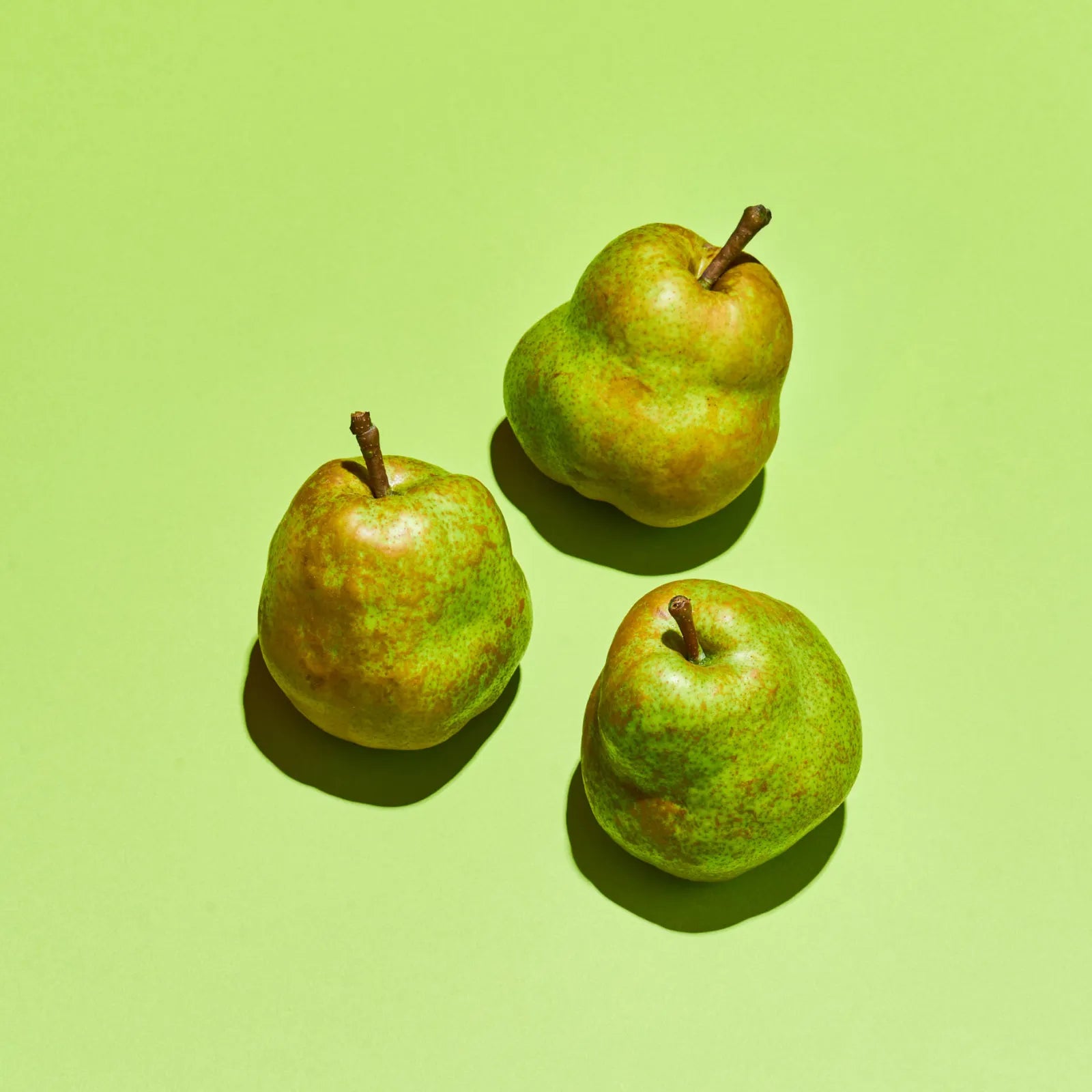 日本唯一の洋梨専業農家さんが作ったラ・フランス 家庭用 3kg