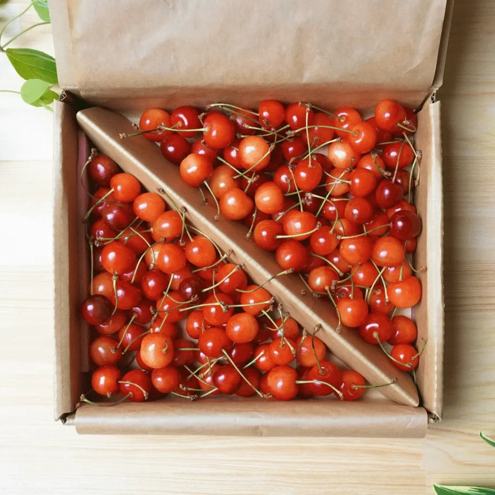 【朝採れ当日出荷】秀品 紅秀峰 2L ばら詰め 700g