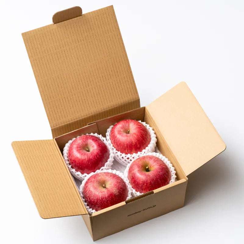 【早割】日光をたっぷり浴びたりんご🍎山形県産サンふじ A品 1kg/3kg