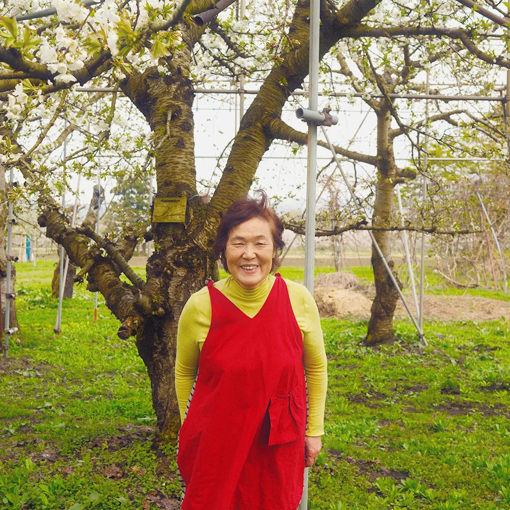 【佐藤錦】M/L混合 ばら詰め 700g