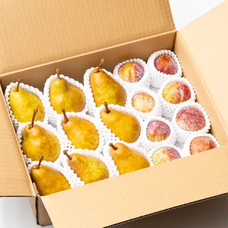 【希少品種セット‼】洋梨<オーロラ>+プラム<秋姫>セット