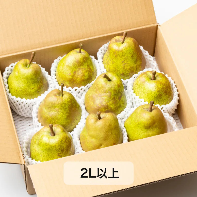 日本唯一の洋梨専業農家さんが作ったラ・フランス 家庭用　3kg