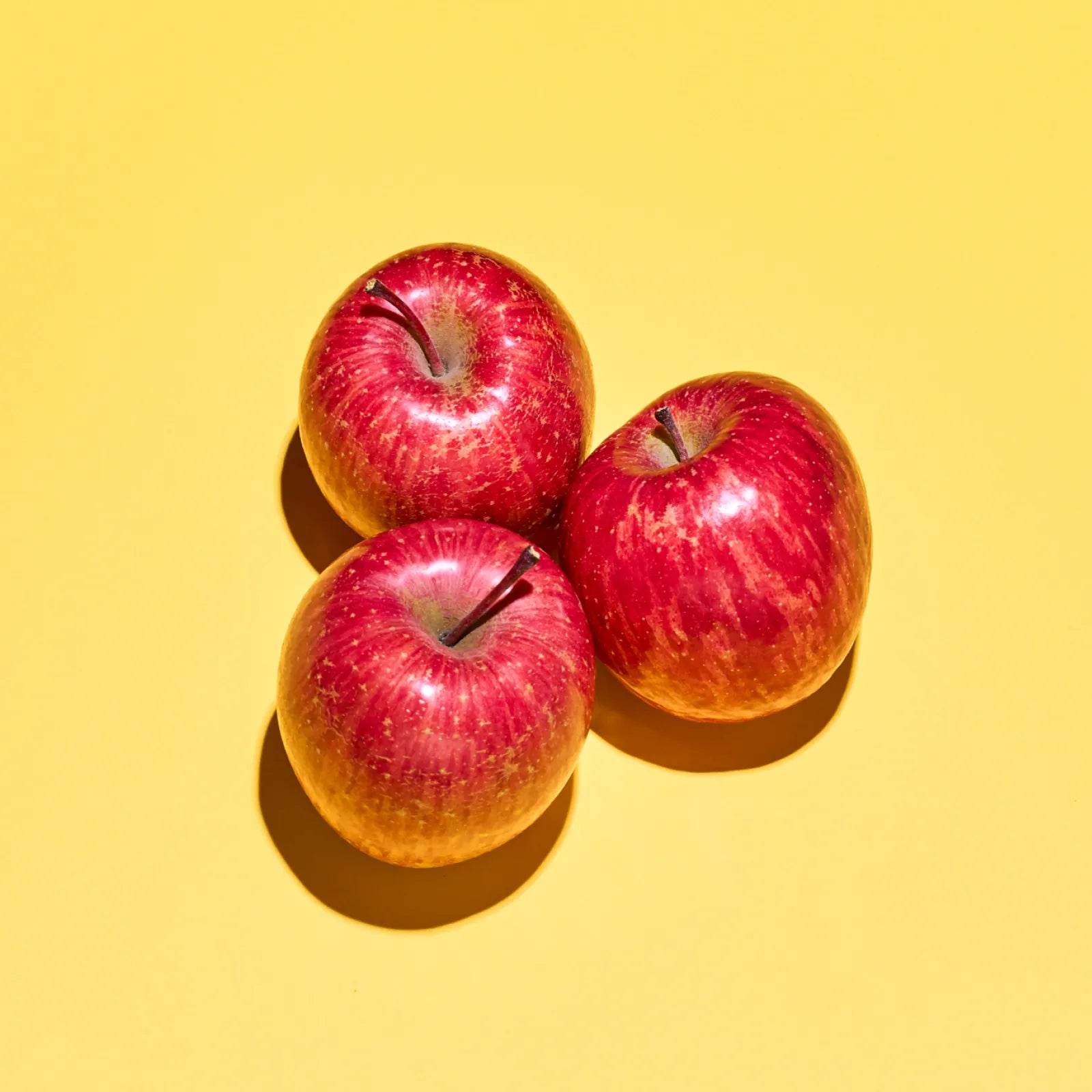 HOT🔥サンふじ3kg【デイリーセレクト】日光をたっぷり浴びたりんご🍎