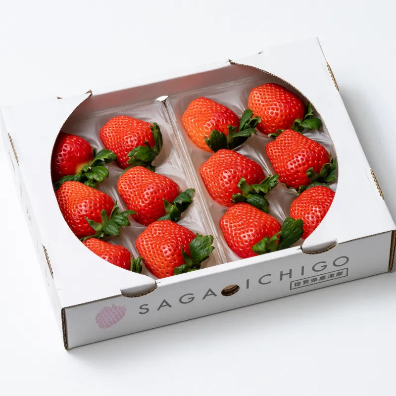 おおきみ🍓6～11粒入り2P｜まったり濃厚な香りと溢れる果汁が特徴の大粒いちご