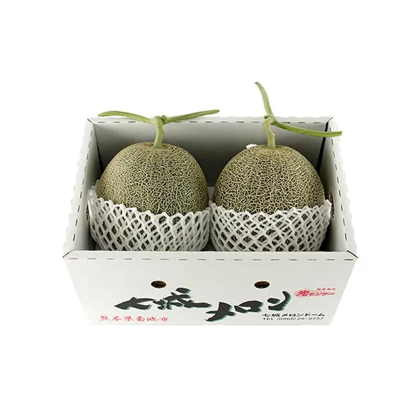【秀品】肥後グリーン🍈2玉｜糖度14度以上！シャキッとみずみずしいジューシーな大玉メロン