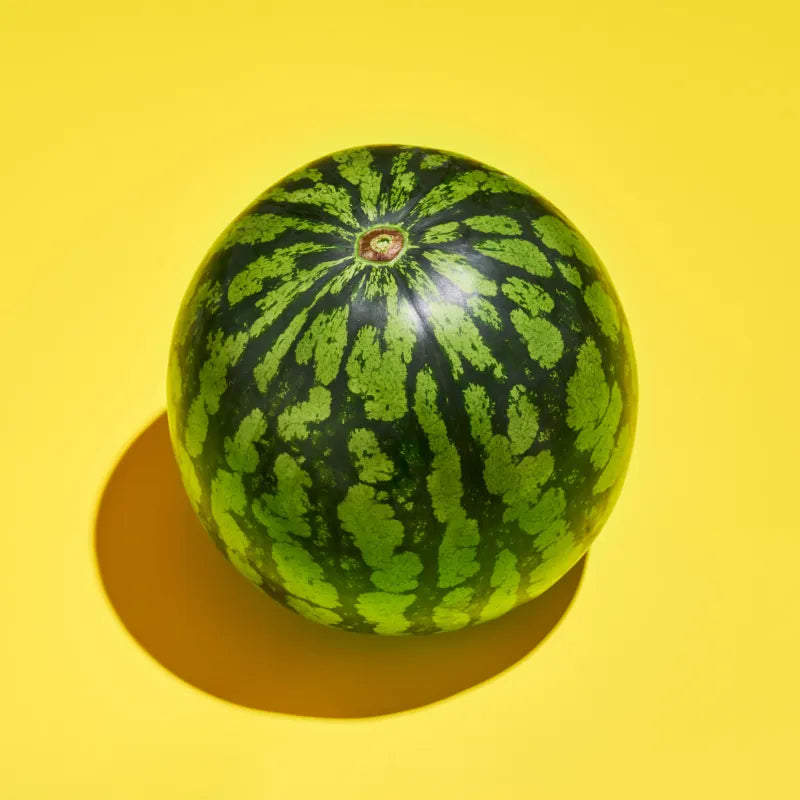 【衝撃の糖度13～14度‼】極上の甘さとみずみずしさ｜干ばつに負けず毎日何トンも水やりして育てた大玉「尾花沢スイカ」 4~5L（約9~10kg）