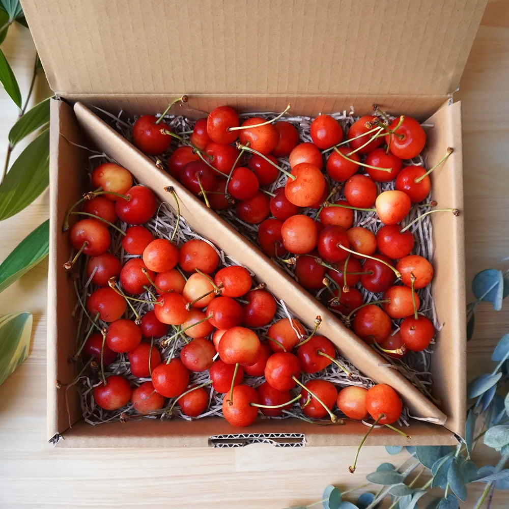 【佐藤錦】M/L混合　ばら詰め 700g