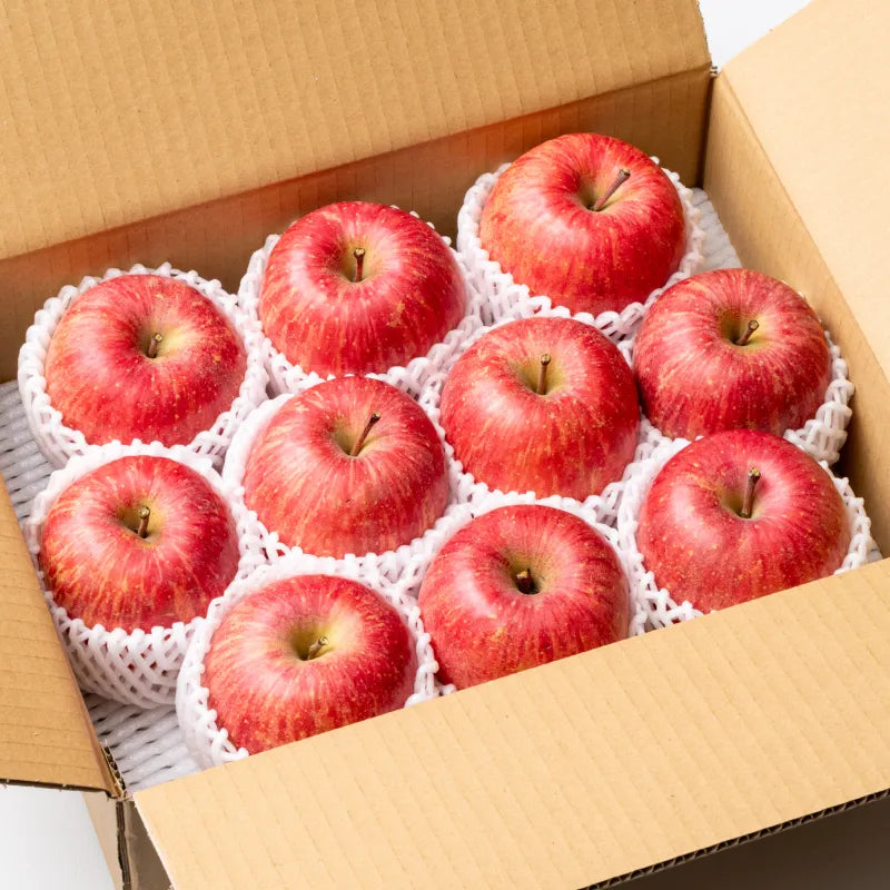 【早割】日光をたっぷり浴びたりんご🍎山形県産サンふじ A品 1kg/3kg