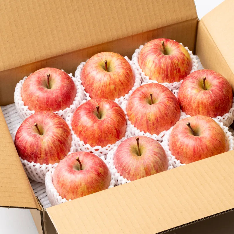 【早割】日光をたっぷり浴びたりんご🍎山形県産サンふじ B品 1kg/3kg
